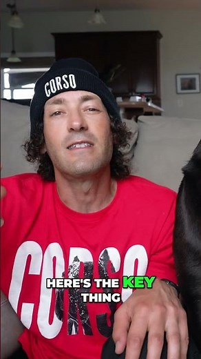 Understanding Cane Corso Temperament Guardian Instincts Explained