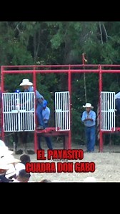 168K views · 5.1K reactions | ❤️‍ . . . . . #vivamexico #carrerasdecaballos #caballos #jockey | HORSE RACE | Facebook