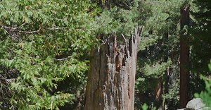 Video by RDNE Stock project on Pexels