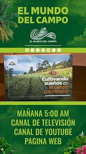 40 años sembrando tecnología en el campo 🌾 ¡Tres mosqueteros, un solo propósito: impulsar el agro colombiano! En este episodio especial de El Mundo del Campo, celebramos junto a Motomart S.A. el lanzamiento de su libro "Cultivando sueños en el campo colombiano" 📘🚜 Conoce cómo esta empresa ha recorrido el país llevando soluciones en maquinaria agrícola y cómo su equipo humano ha dejado huella en miles de productores rurales 🇨🇴✨ Una historia de pasión, esfuerzo y tecnología al servicio del ca