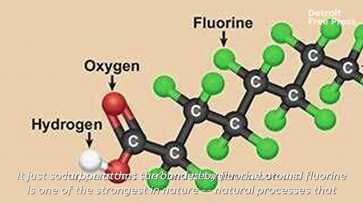 What is PFAS? An overview of 'The Forever Chemical'