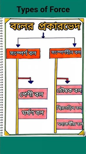 Types of Force Explained Easily|Class 8 Science|বলের প্রকারভেদ|Bengali|#typesofforce#scienceshorts