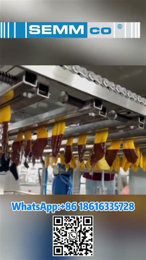 Mango-Dried Chocolate Coating Machine #chocolatemachine #chocolate