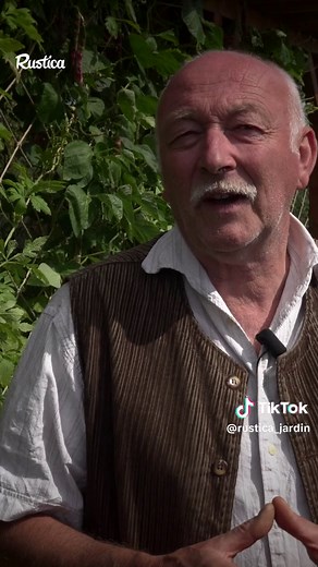 Avantages des Haricots Grimpants au Potager