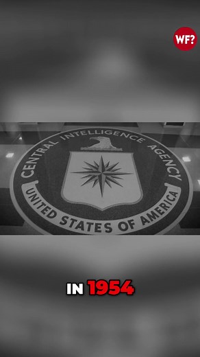 🎥 At The Why Files, we dig into the mysteries—separating 🧠 fact from 🤔 fiction while keeping you entertained! ⚠️ Disclaimer: This content is for entertainment purposes only. It explores mysterious, speculative, and historical stories that are not presented as established facts. Viewer discretion is advised. #TheWhyFiles #HeckleFish #Mystery #FactOrFiction #StayCurious