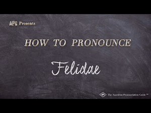 How to Pronounce Felidae (Real Life Examples!)