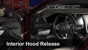 Oil & Filter Change 2019 Honda Insight Touring 1.5L 4 Cyl.