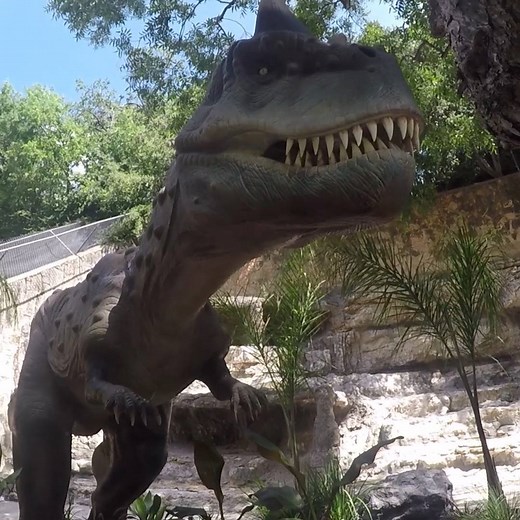 Dinosaurs have invaded the San Antonio Zoo! The new Zoorassic Park experience kicks off Saturday! 🦖🦖🦖 Check out why the Zoo says it's also educational: https://on.kens5.com/Zoorassic | KENS 5 & Kens5.com