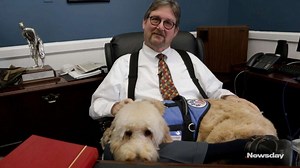 This judge has a four-legged secret