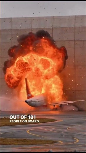 The Only Two Survivors of Jeju Air Flight 2216