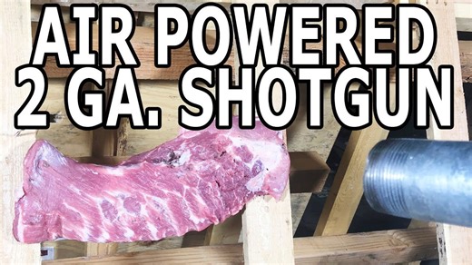 Can an air cannon take out a rack of ribs?