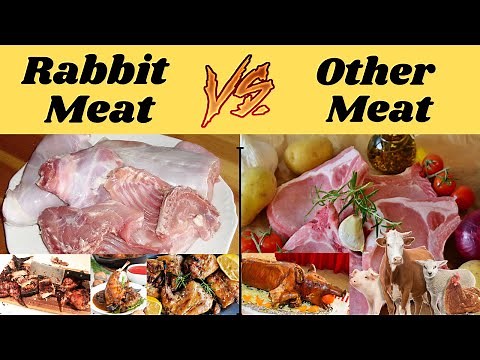 Rabbit Meat compared to other meat