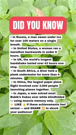 Record-Breaking Human Feats That Should Be Impossible 😳