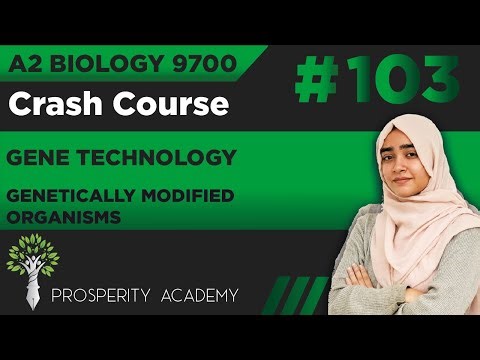 Genetically Modified Organisms | Gene Technology | 9700 A2 Biology Urdu/Hindi