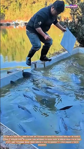 The Art of Fish Stocking for Recreational Fishing