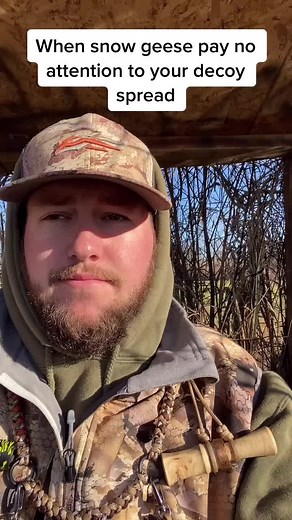 Effective Decoy Spreads for Snow and Duck Hunting