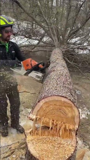 When They Make a Fuel Injected Chainsaw…