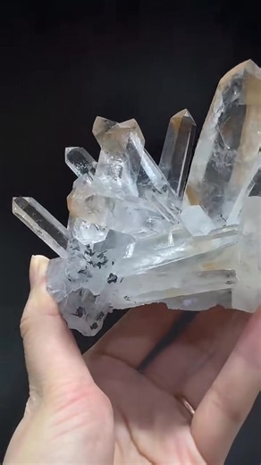 guangdong jinlong | Fei Yuan