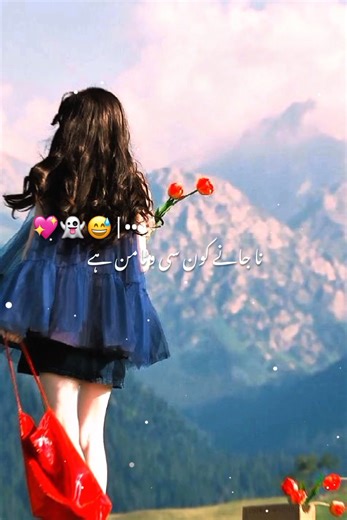 Heartfelt Love Status Videos to Share Your Emotions