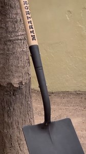 Heavy-Duty Digging Spade. Thick One Piece Forged Steel Blade and Firmly Riveted Lightweight Very Strong Graceful Ash-Wood Handle. Weight 6.5 lb. Height 41 inch. Blade 8 x 12 inch.