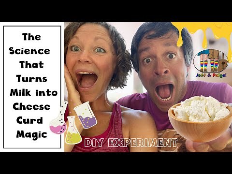 DIY Cheese Curds: Curds & Whey the Science of Cheese Making