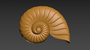 Seashell. Relief. 3D Print Model. STL. CNC. Shell. - Etsy