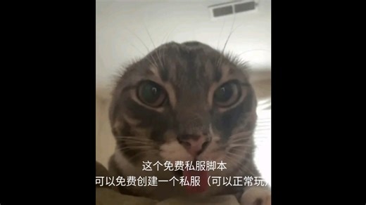 ROBLOX全游戏通用免费私服脚本（附源码和教程）