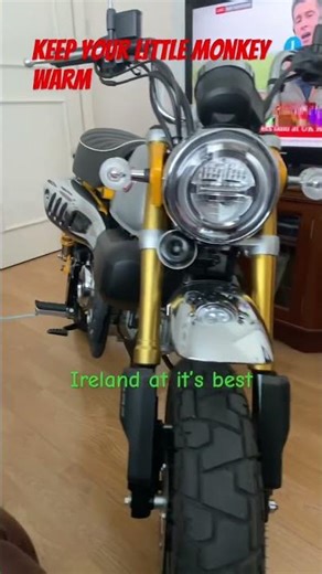 HONDA MONKEY 125 #motorcycle #motorbike #monkeybehavior