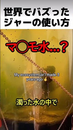 世界でバズったジャーの使用方法