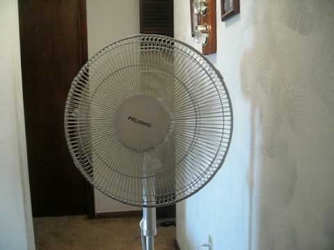Pelonis stand fan