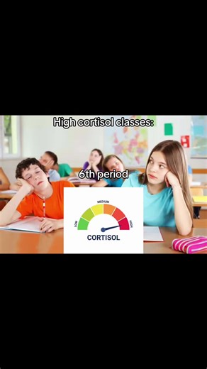 Cortisol Levels in School Classes