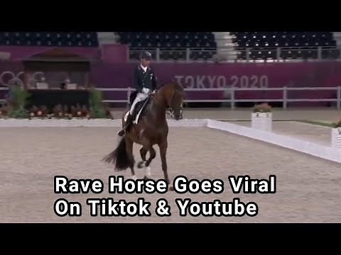 Rave Horse Mopsie Rages in Olympic Dressage Freestyle || Rave Horse Goes Viral || MRN News Tv