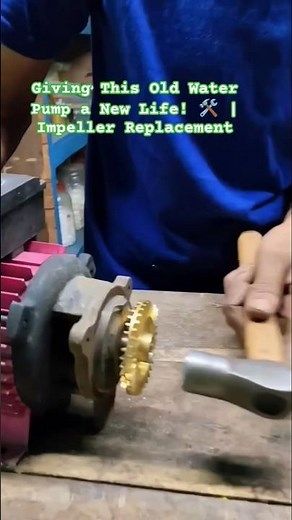 Giving This Old Water Pump a New Life! 🛠️ | Impeller Replacement