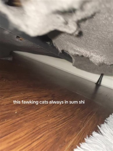 THD BED FRAMD ??#venomvoice | Venom Voice Changer