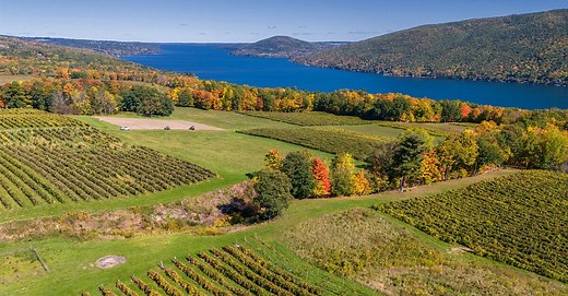 Planning at Winery Bachelorette Party? These Are the Top Destinations to Consider