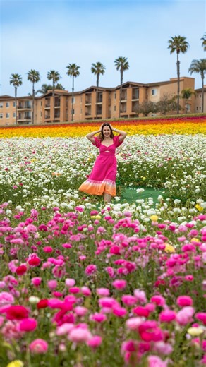 21K views · 96 reactions | My Travel Photography Course for Beginners...