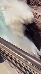 135K views · 217 reactions | Viral Video Sparks Panic After Claims...