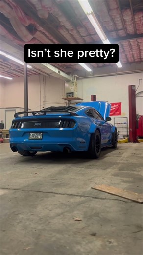 Mustang EcoBoost Starter Replacement #mustang #starter #carrepair