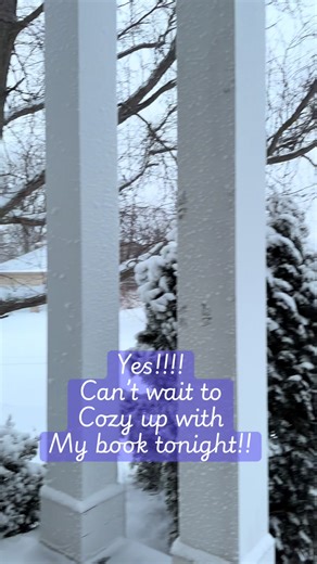 Perfect book reading weather! #snowday #bookweather #cozyreading #booktok #booklover