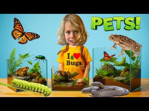 Juju’s PET BUG & CREATURE SHOW! Kids ADVENTURE with Cool Critters 🐍🐸🕷️