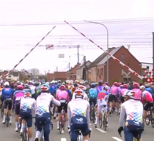 Tour des Flandres : la justice belge ouvre une enquête autour de 54 coureurs, dont Pogacar et Evenepoel, pour avoir grillé un feu rouge
