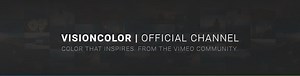 VisionColor