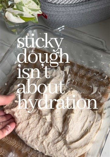 Understanding Sourdough Dough Stickiness