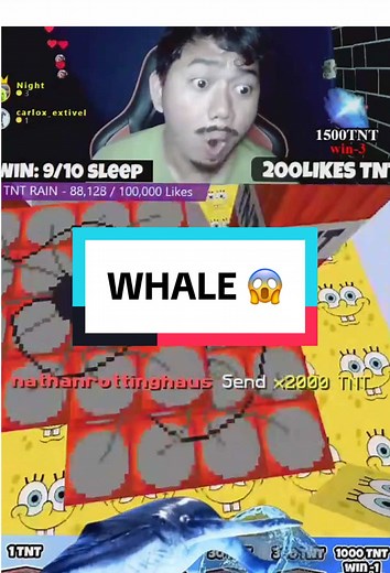 Incredible Whale Encounter in Minecraft