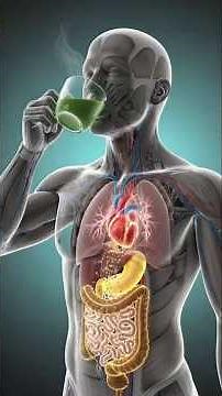 This Is What Green Tea Really Does Inside Your Body