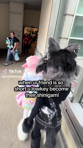 @౨ৎ chi ౨ৎ is three apples tall 🥹😭 #furry #kigurumifursuit #furryfandom #niche #alt