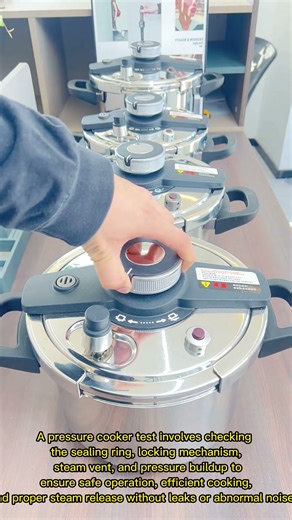 A pressure cooker test involves checking the sealing ring