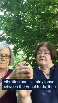 4 Gillyanne and Anne Pressure and flow 3 Subglottal pressure