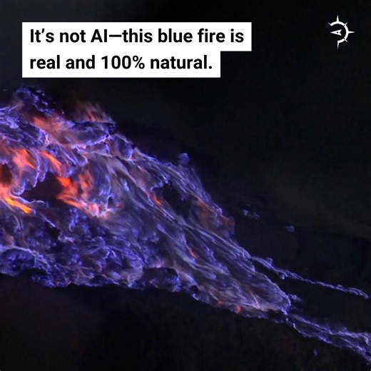 1.5K views · 40 reactions | It’s not AI—this blue fire is real and...