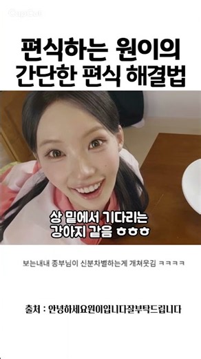 편식하는 원이의 간단한 편식 해결법 #리센느 #원이 #제나 #경주 #원안잘부 #신라공주